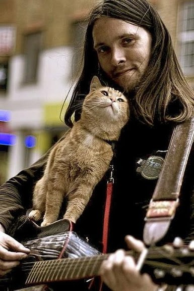 Уличный музыкант Джеймс Боуэн и уличный кот Боб