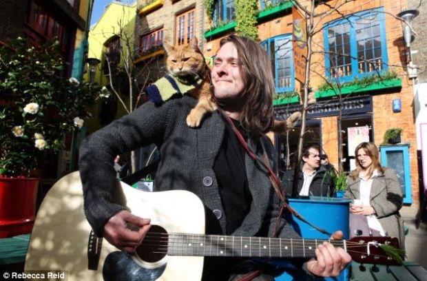 Уличный музыкант Джеймс Боуэн и уличный кот Боб